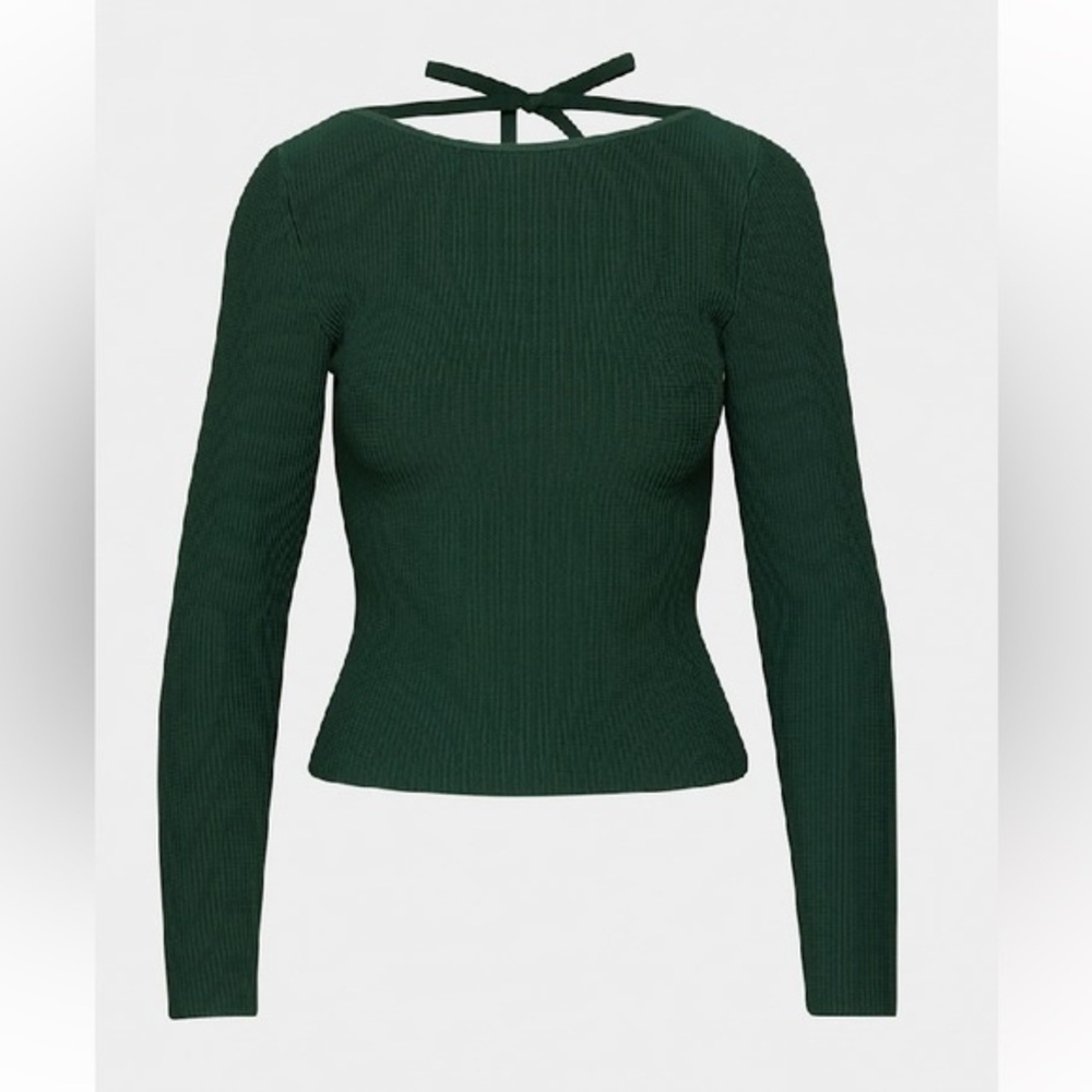 New Aritzia Babaton Sculpt Knit Scouted Longsleeve Tight open-back knit top